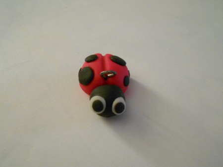 Coccinella