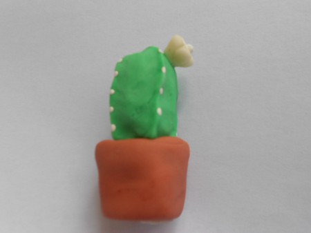 Cactus con fiore bianco